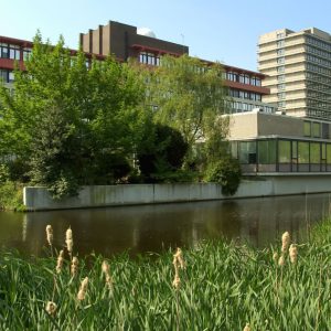 Свободный университет Амстердама